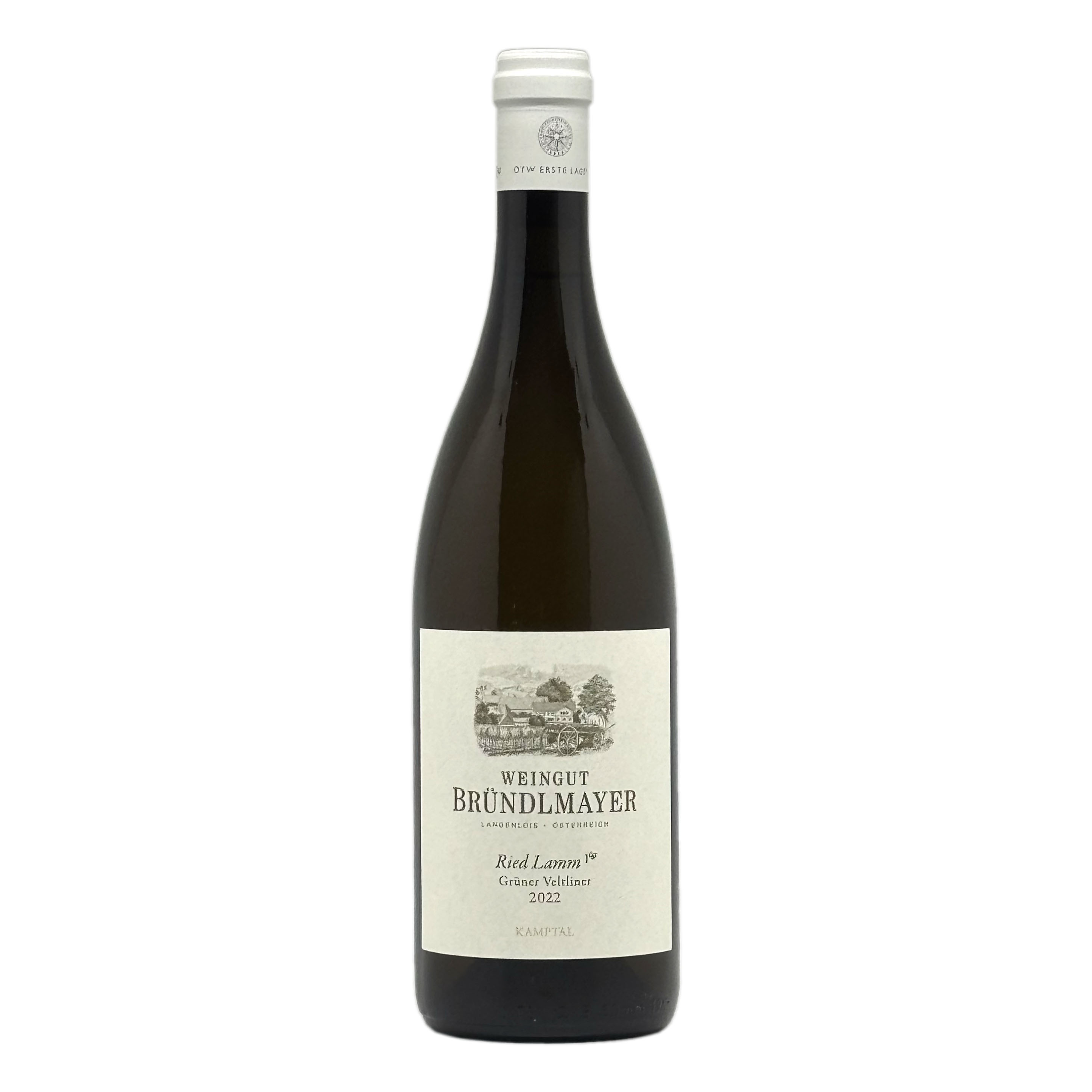 Bründlmayer：Grüner Veltliner Ried Kammerner Lamm Kamptal DAC Reserve 2022/ブリュンデルマイヤー：グリューナー・フェルトリーナー ラム(白)