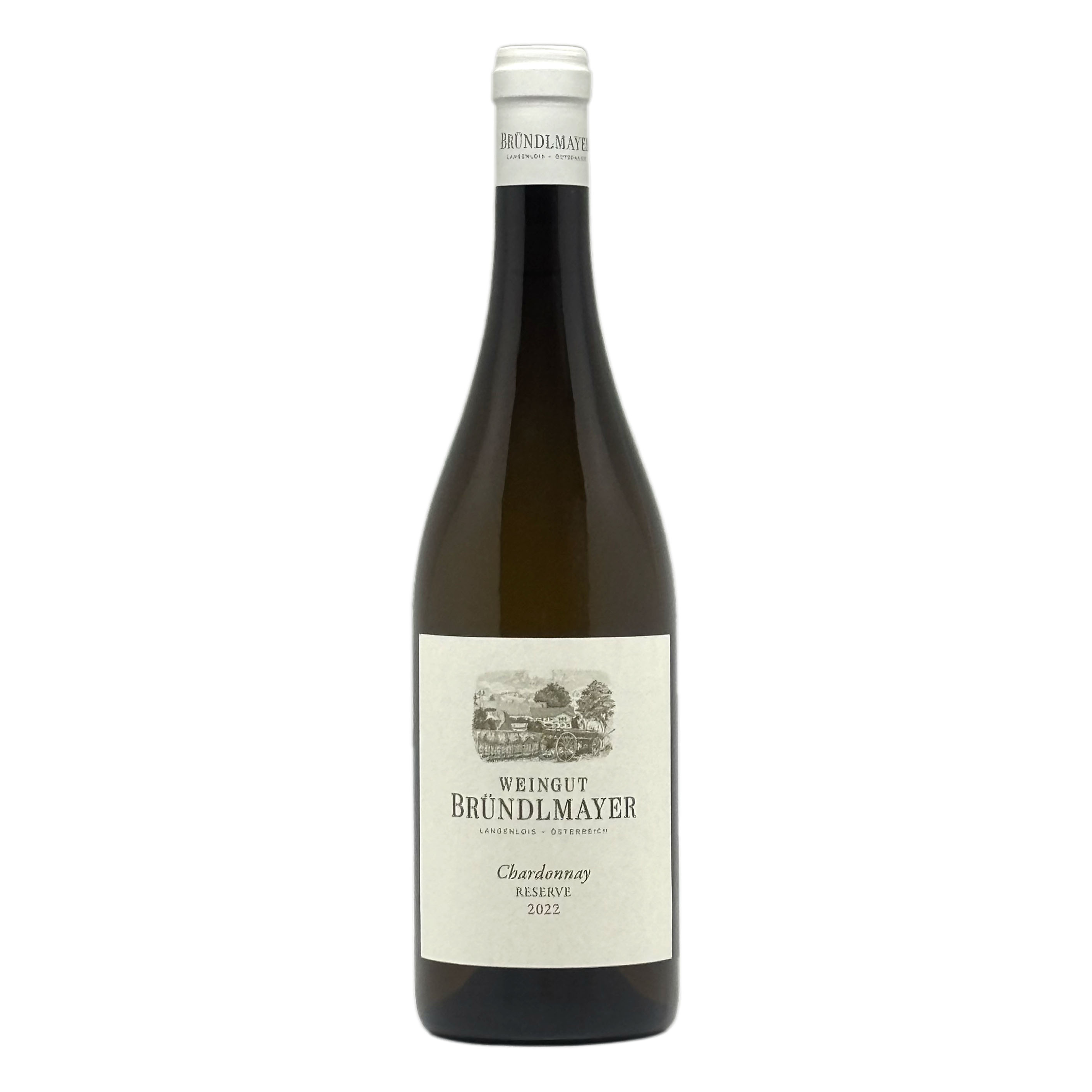 Bründlmayer： Chardonnay Ried Langenloiser Steinberg Reserve 2022/ブリュンデルマイヤー：シャルドネ ランゲンロイサー(白)